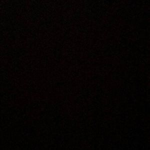 Meet your Posher, Whitney